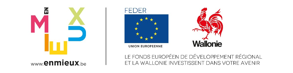logo_FEDER