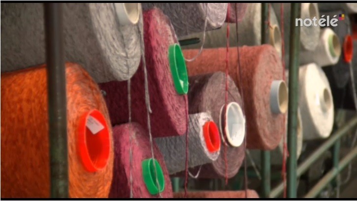 IEG - Textile - Labeléco